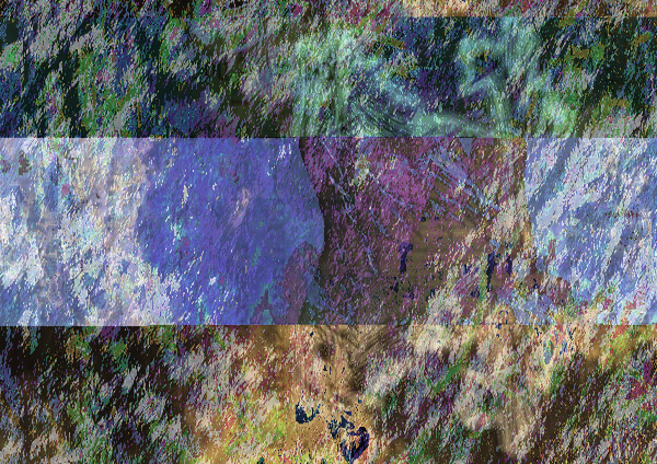 black lines amidst layers of yellow and green